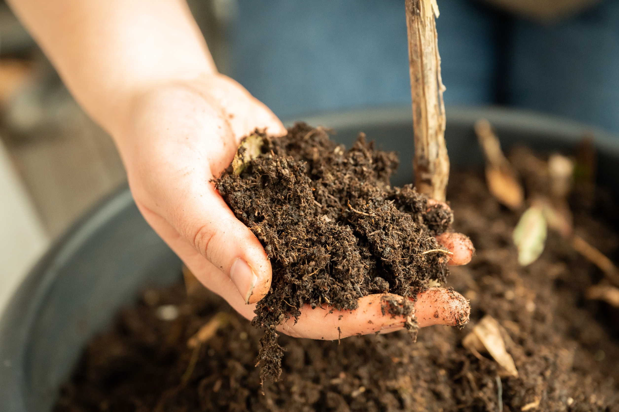 Backyard Composting 6 backyard composting 3